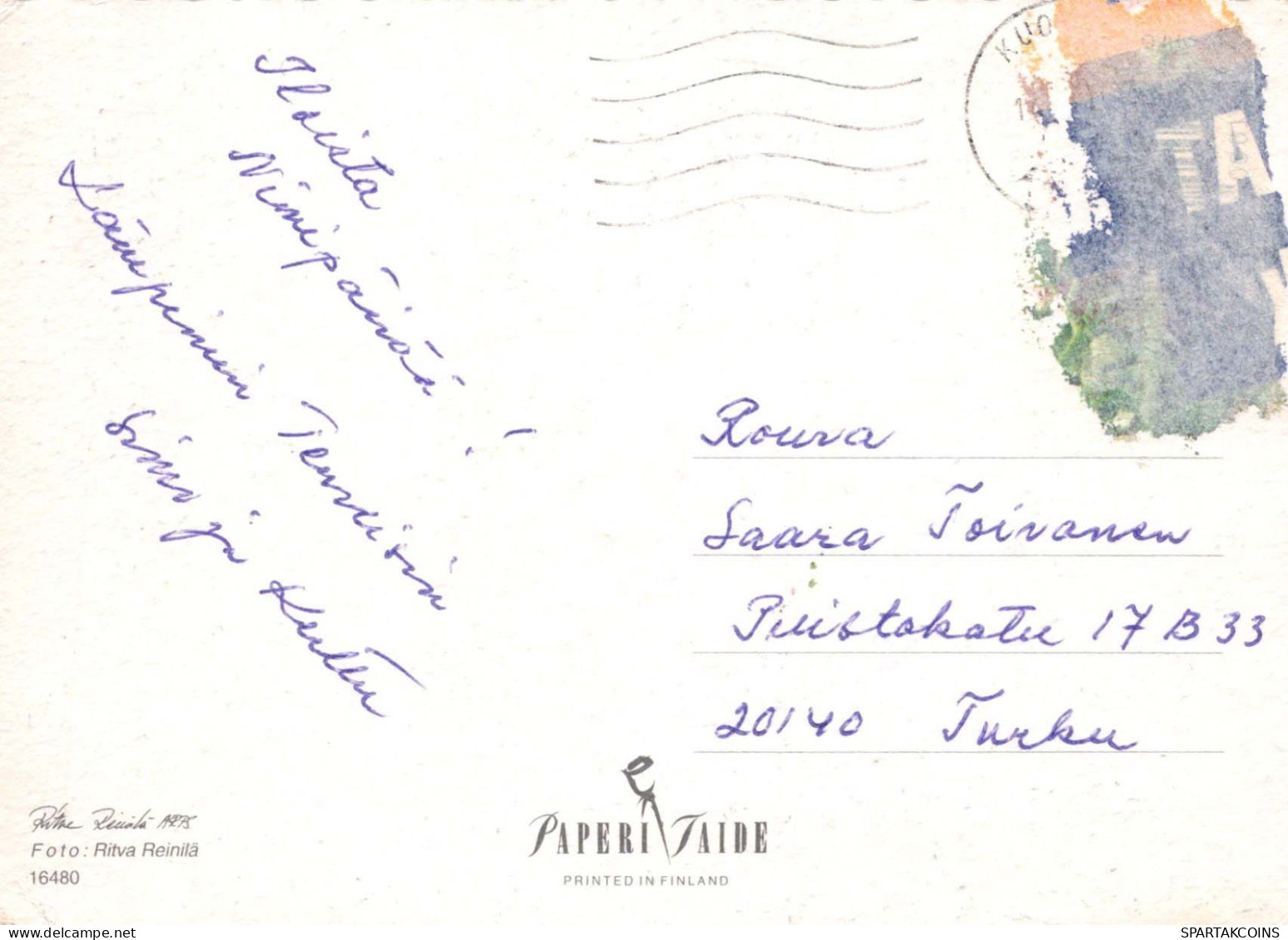 FIORI Vintage Cartolina CPSM #PBZ068.IT - Fleurs