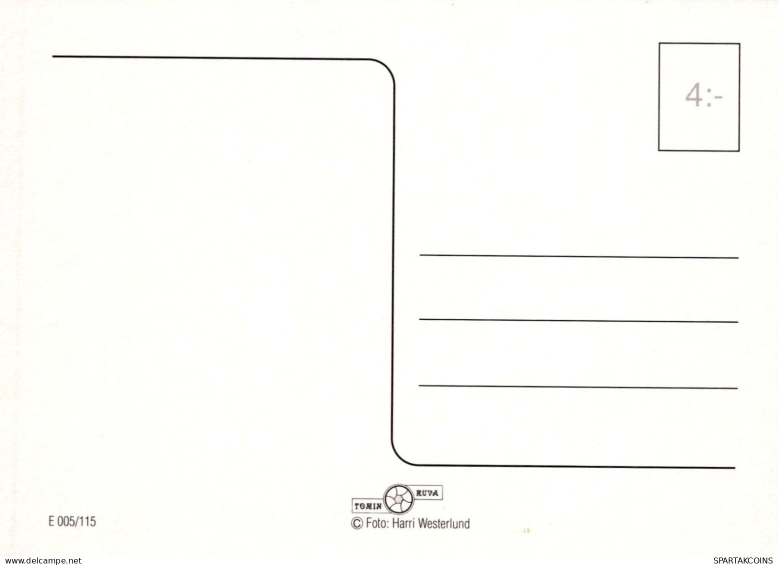 SCOIATTOLO Animale Vintage Cartolina CPSM #PBS707.IT - Altri & Non Classificati