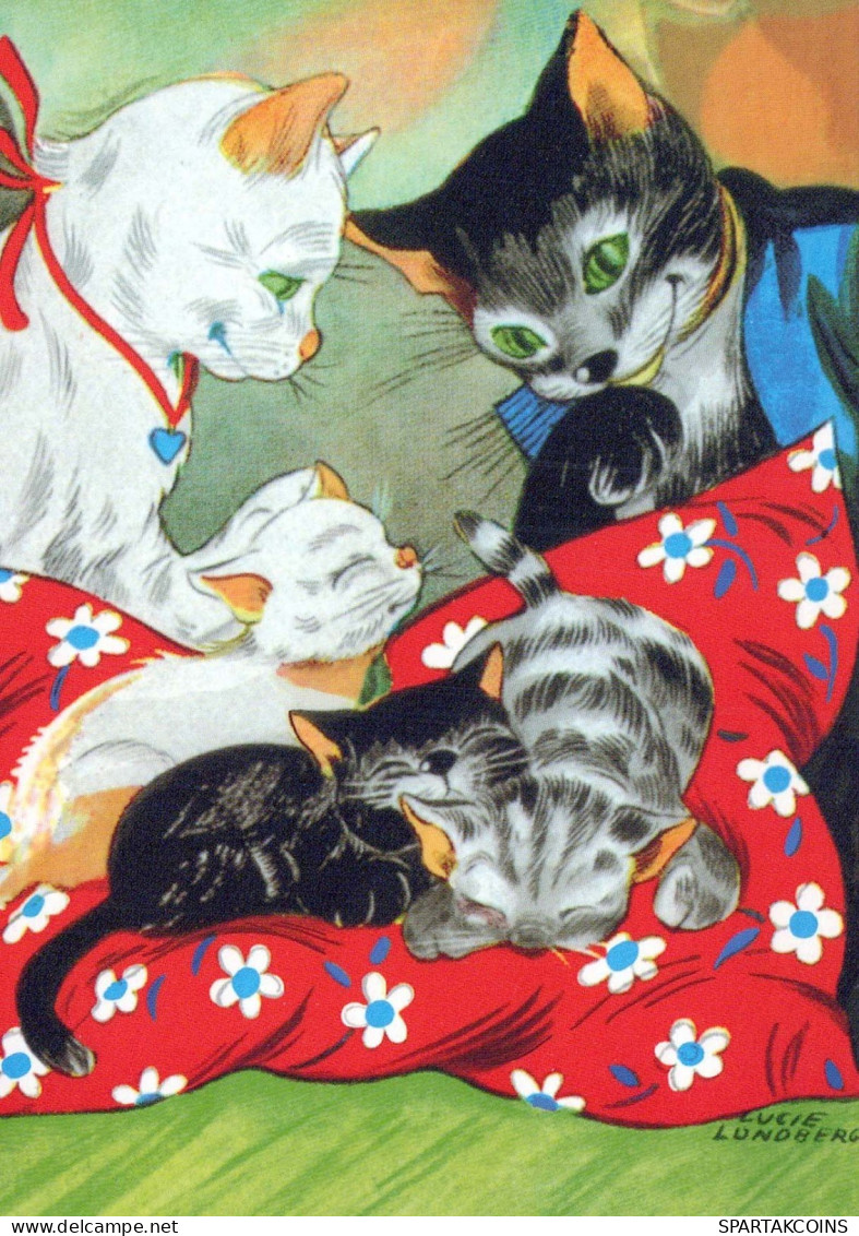 GATTO KITTY Animale Vintage Cartolina CPSM #PBQ947.IT - Katten