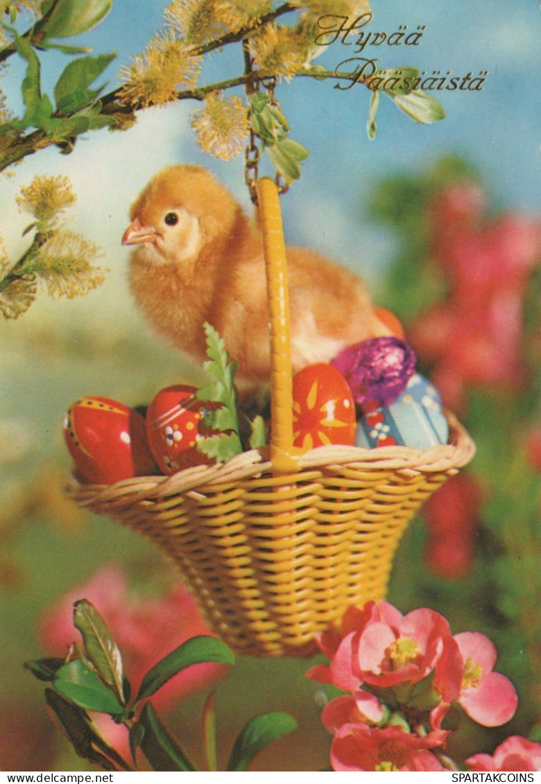 PASQUA POLLO UOVO Vintage Cartolina CPSM #PBP033.IT - Easter