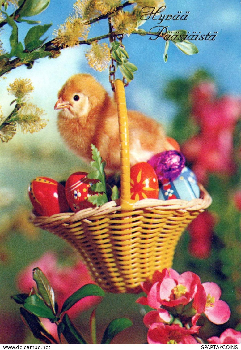 PASQUA POLLO UOVO Vintage Cartolina CPSM #PBP033.IT - Easter