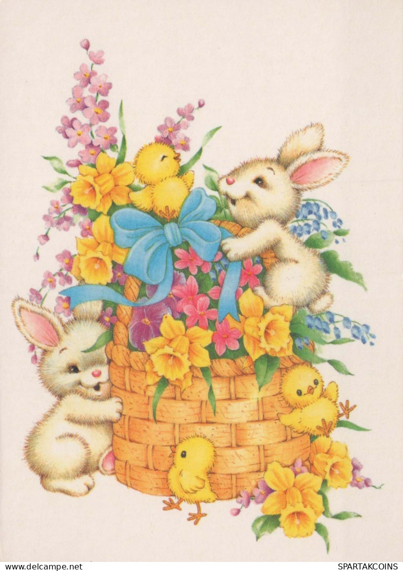 PASQUA CONIGLIO Vintage Cartolina CPSM #PBO529.IT - Easter