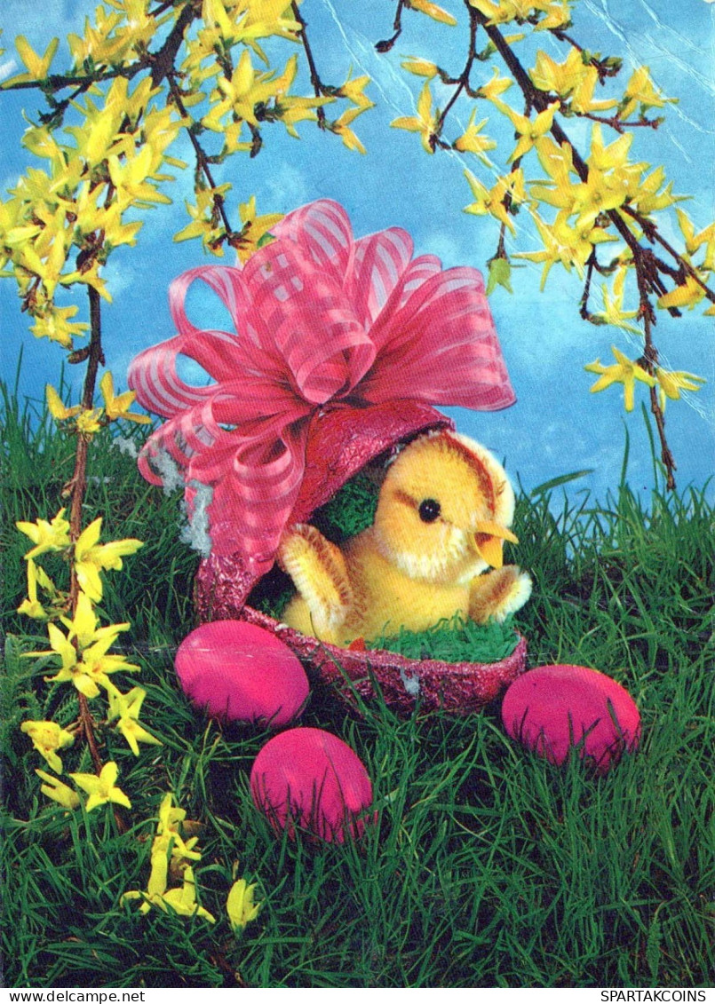 PASQUA POLLO UOVO Vintage Cartolina CPSM #PBP156.IT - Easter