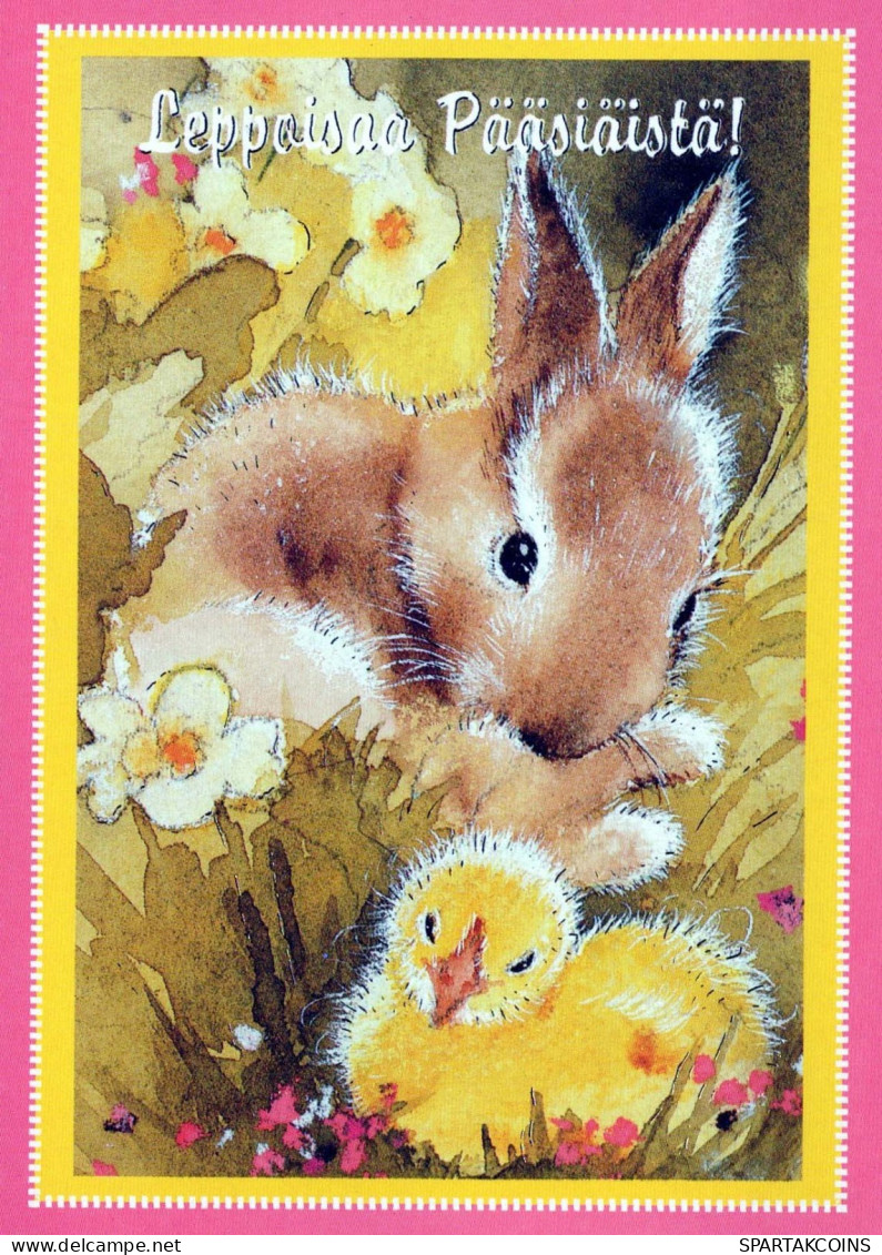 PASQUA CONIGLIO Vintage Cartolina CPSM #PBO464.IT - Easter