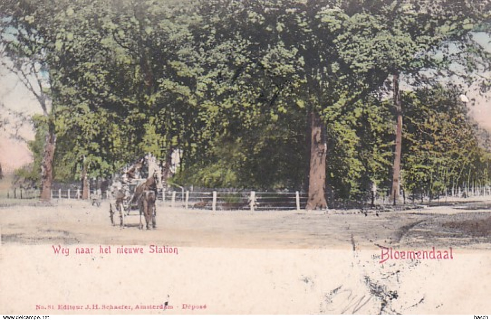 4821      95           Bloemendaal,  Weg Naar Het Nieuwe Station. (poststempel 1904)( Minuscule Vouwen In De - Bloemendaal