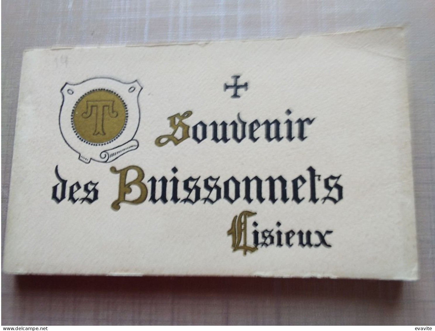 Carnet Complet De 15 CPA   Souvenir Des Buissonnets  LISIEUX  (14) - Lisieux