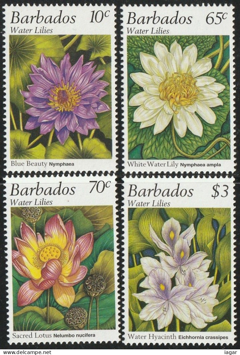 THEMATIC FLORA:  WATER LILIES.  BLUE BEAUTY, WHITE WATER LILY, SACRED LOTUS, WATER HYACINTH    -    BARBADOS - Autres & Non Classés