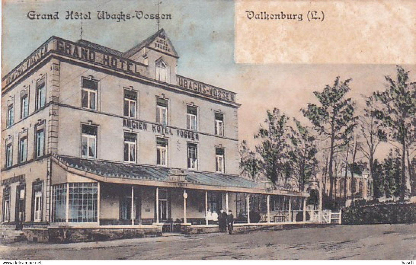 48228Valkenburg, Grand Hôtel Ubachs - Vossen. Rond 1900. (minuscule Vouwen In De Hoeken, Bruine Vlekken) - Valkenburg