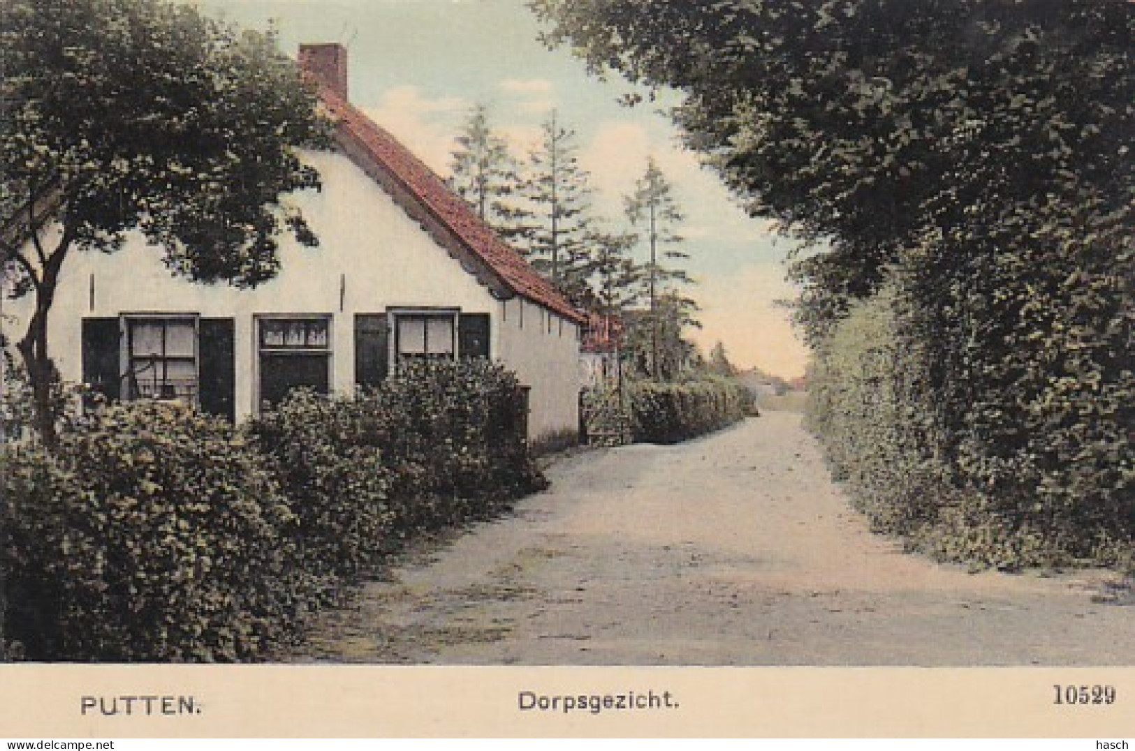 482262Putten, Dorpsgezicht.(minuscule Vouwen In De Hoeken) - Putten