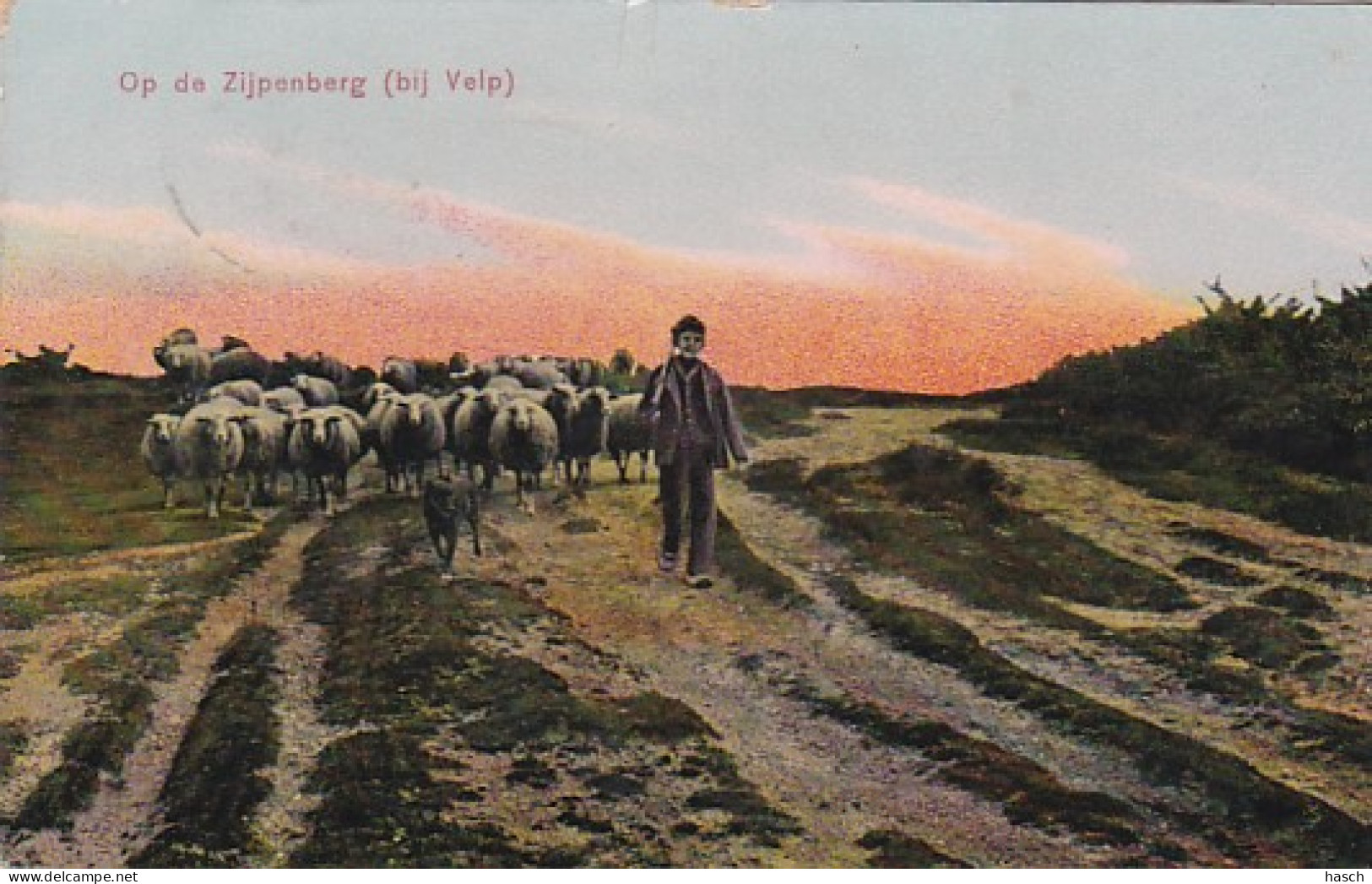 4822101Op De Zijpenberg Bij Velp. 1911. (zie Hoeken En Randen) - Velp / Rozendaal