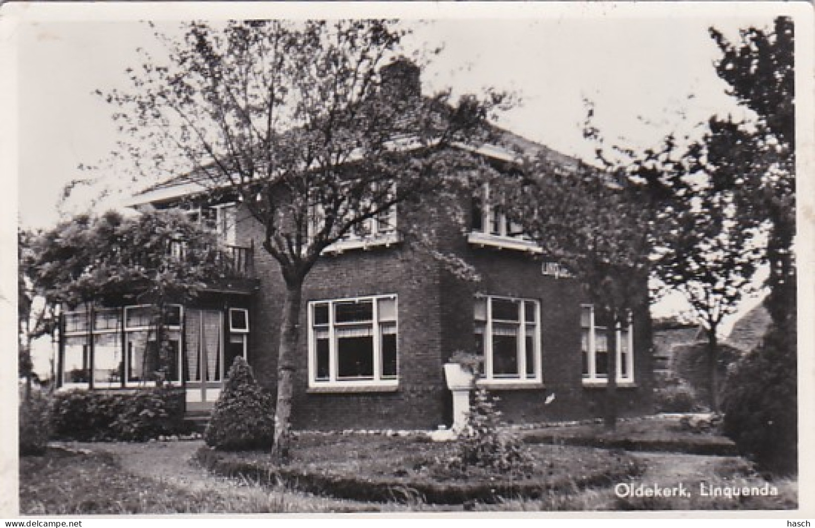 4822125Oldekerk, Linquenda. (FOTO KAART)(kleine Vouwen In De Hoeken, Zie Achterkant) - Autres & Non Classés
