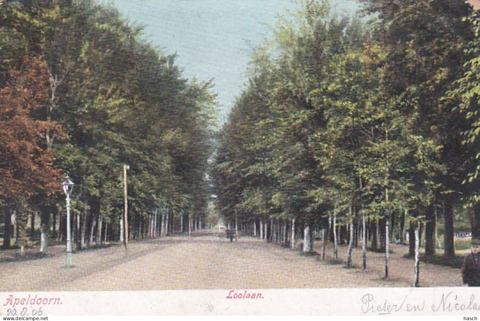 4822472Apeldoorn, Loolaan. (poststempel 1906)(zie Hoeken En Randen) - Apeldoorn