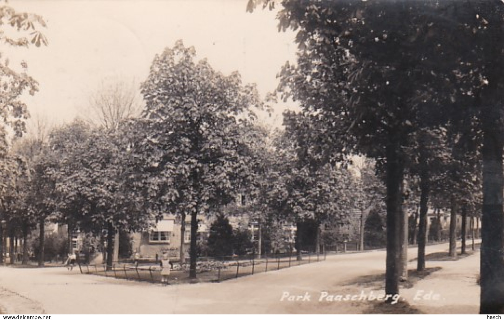 4822591Ede, Park Paaschberg. 1936. (FOTO KAART) (onderin Een Scheurtje, Rechterkant Is Bobbelig) - Ede