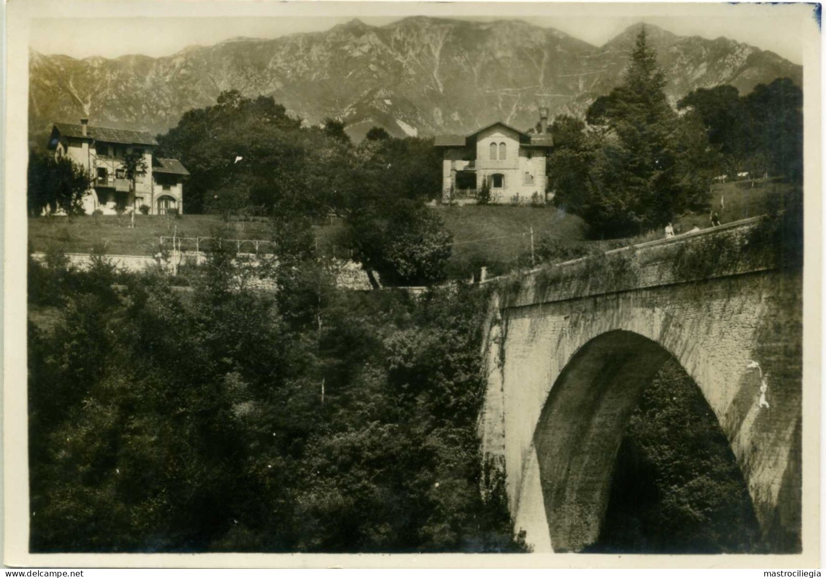 CRESPANO PIEVE DEL GRAPPA TREVISO Magnifica Visione Del Ponte Sull'Astego Ponte Del Diavolo - Treviso