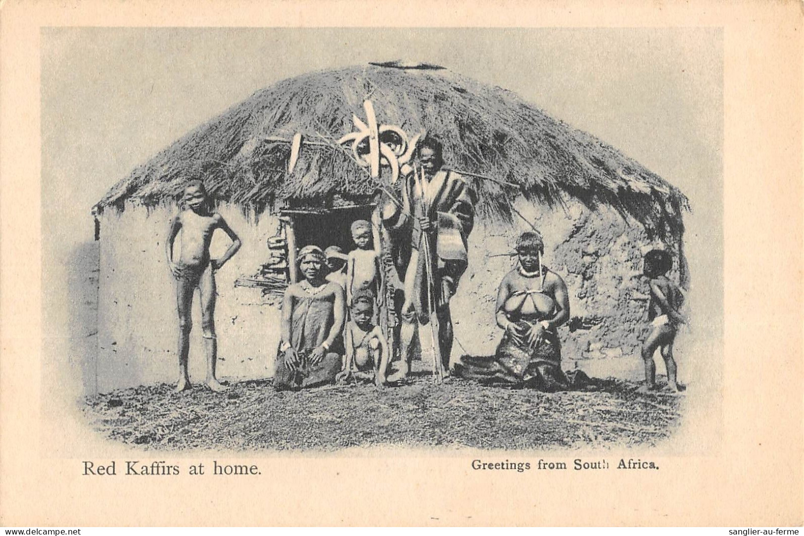 CPA / AFRIQUE DU SUD / CPA ETHNIQUE / RED KAFFIRS AT HOME / AFRICAINS - South Africa