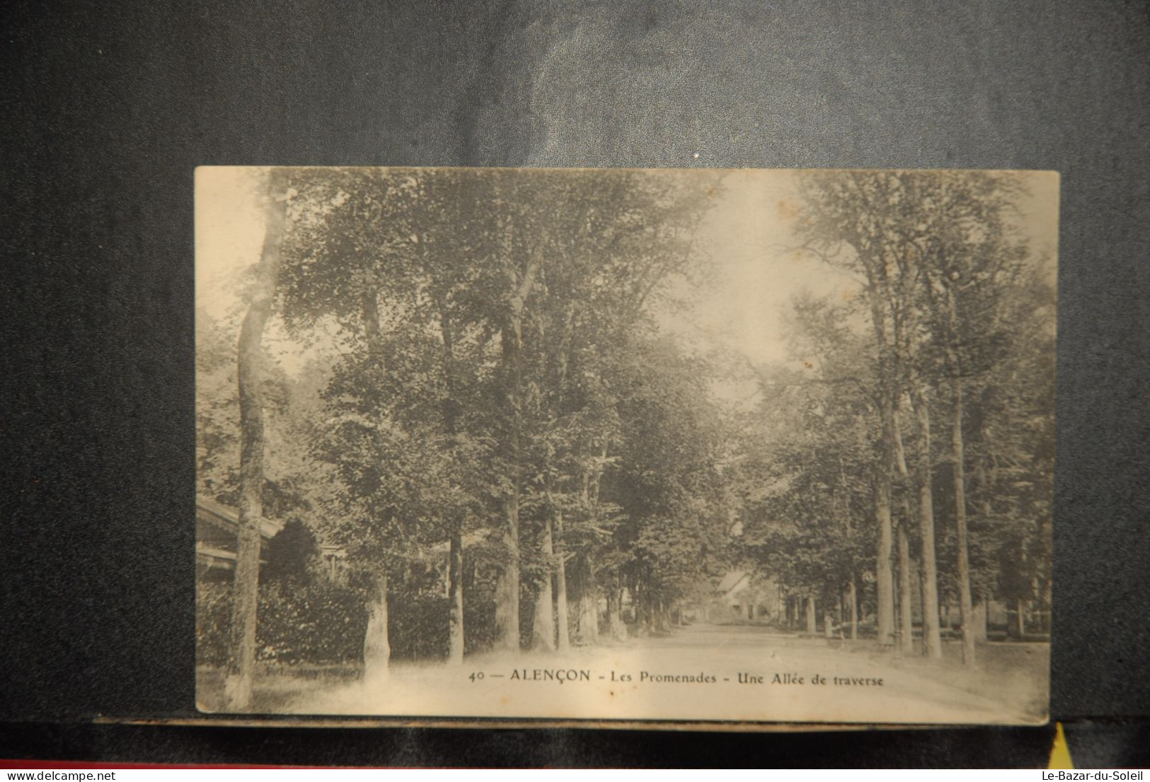 Cp, 61, ALENÇON - Les Promenades- Une Allée De Traverse - Alencon