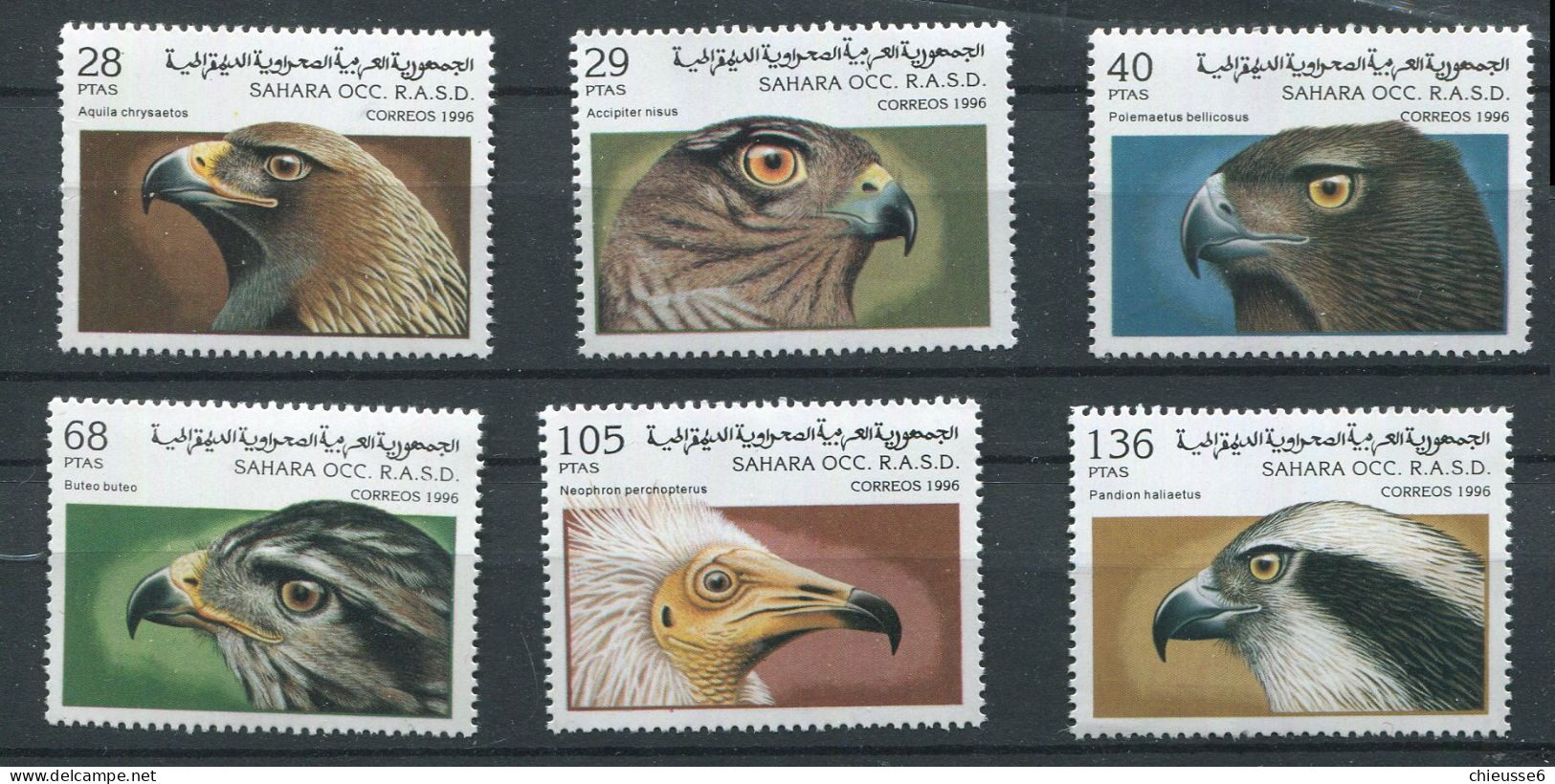 (cl 29B - P. 36- Lot 1) Oiseaux - Têtes De Rapaces - Aigles & Rapaces Diurnes