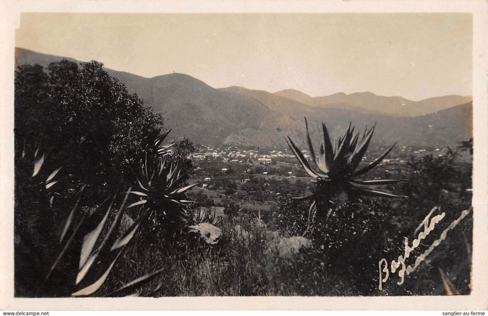 CPA / AFRIQUE DU SUD / CARTE PHOTO - South Africa