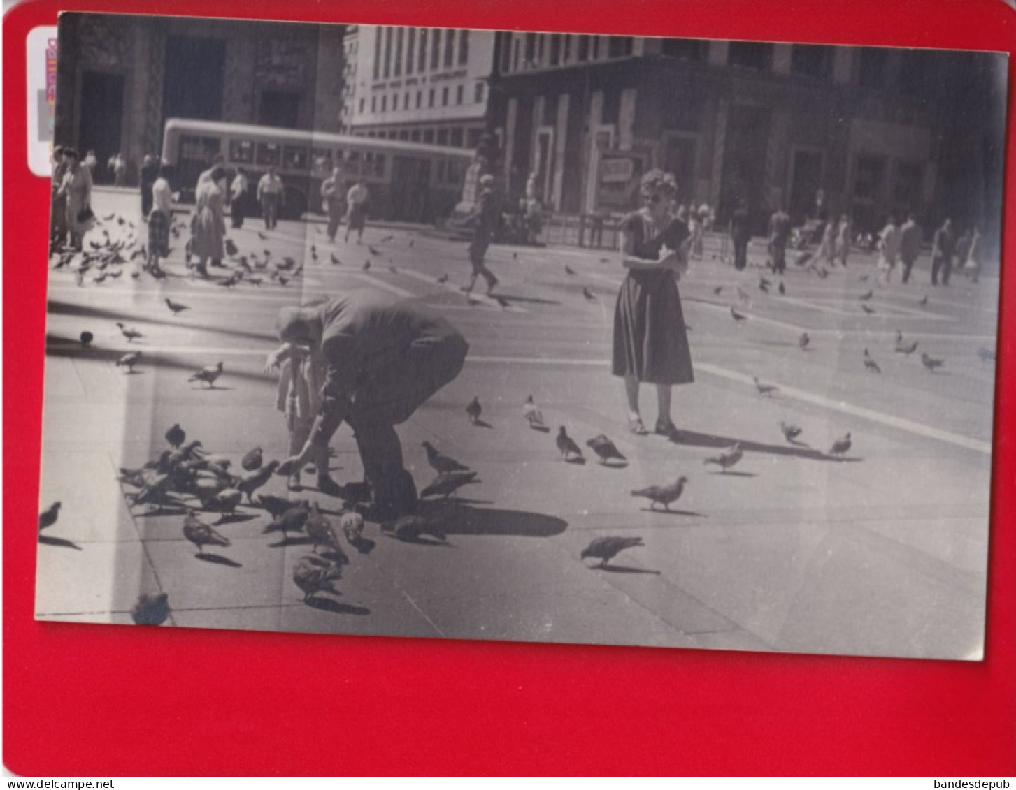 Photo Originale Format CPA 1954 Milan Place Pigeons Bus - Milano (Milan)