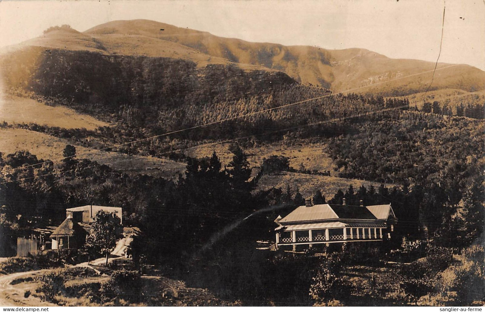 CPA / AFRIQUE DU SUD / CARTE PHOTO - South Africa