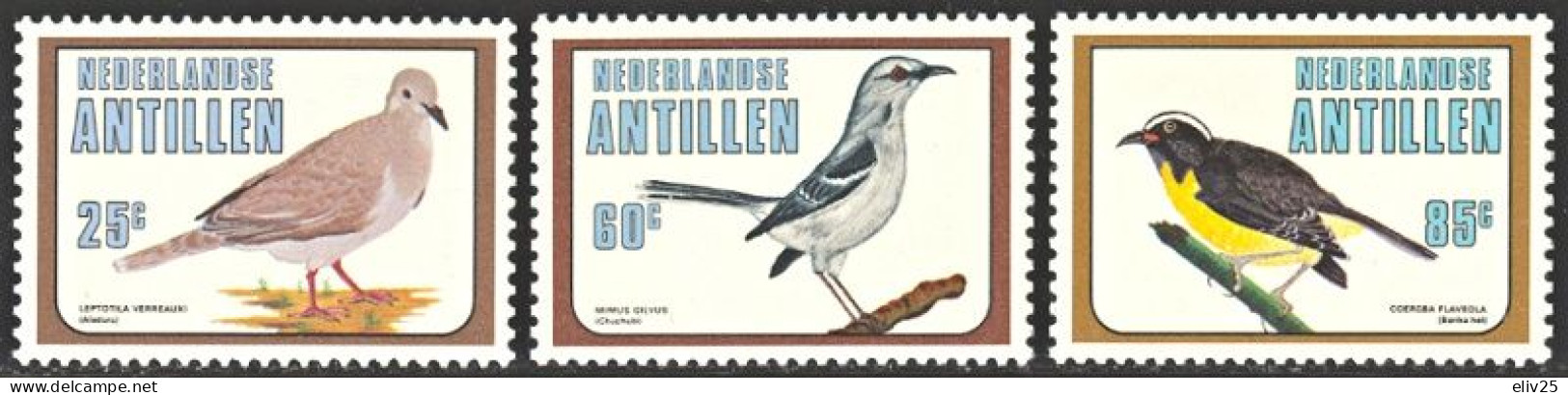 Netherlands Antilles 1980, Birds - 3 V. MNH - Sonstige & Ohne Zuordnung