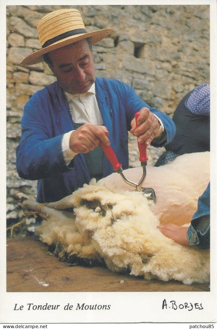 CPM  Le Tondeur De Moutons  à Varaignes 24  Mon Regard Est Ma Mémoire - Ambachten