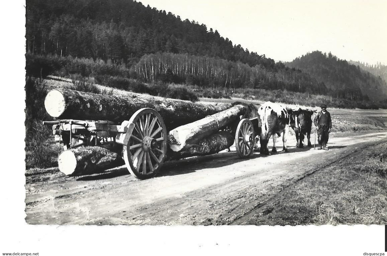 88  Vallée De CELLES (Vosges) 10 Transport Du Bois Celles- Es-sur-Plaine  20022 - Autres & Non Classés