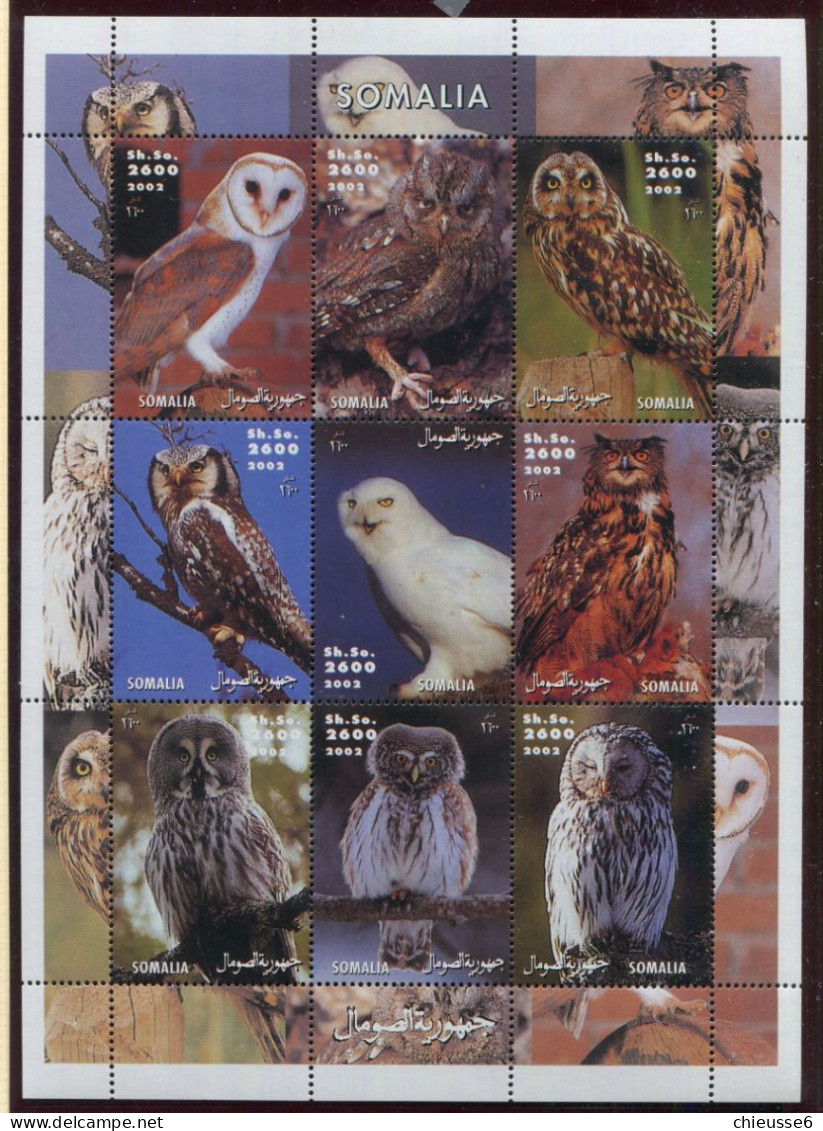 (lot 12) Somalie ** - Feuillet - Oiseaux : Rapaces - Owls