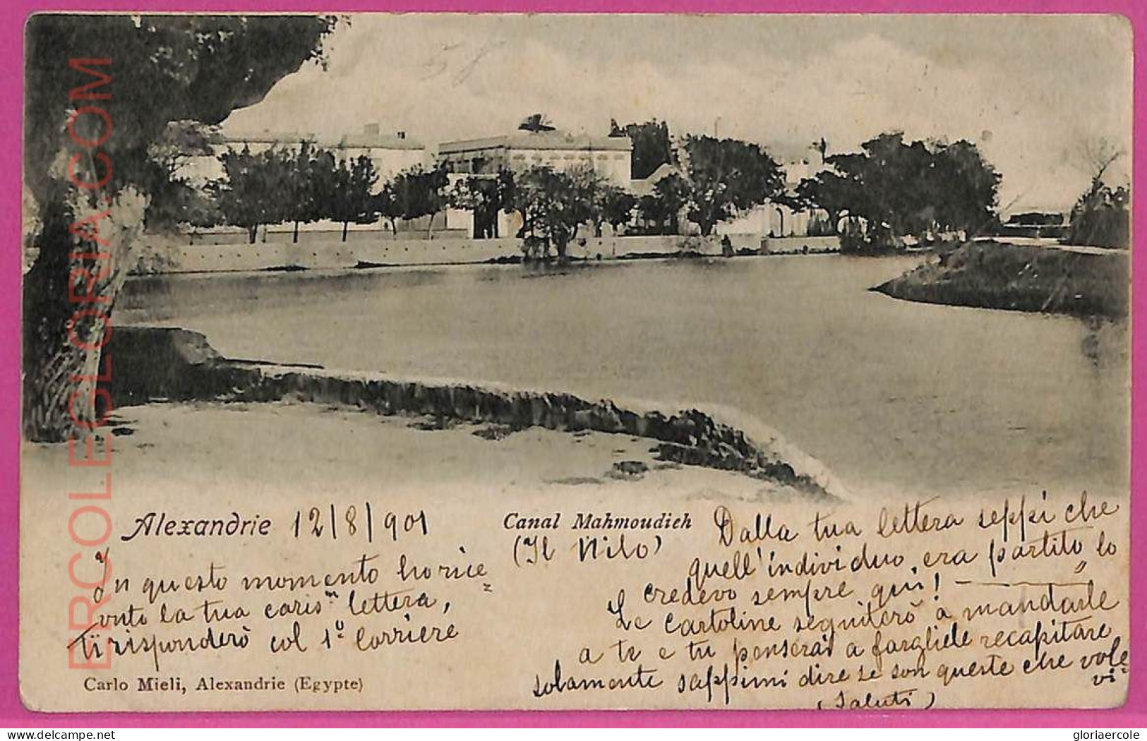 Ag2897 - EGYPT - VINTAGE POSTCARD - Alexandrie - 1901 - Alexandrië