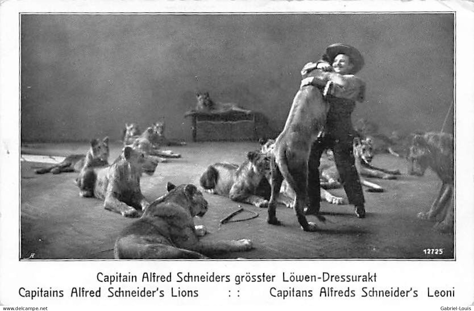 Dompteur Capitain Alfred Schneiders Grösster Löwen-Dressuarkt Lions Leoni Berlin - Circus