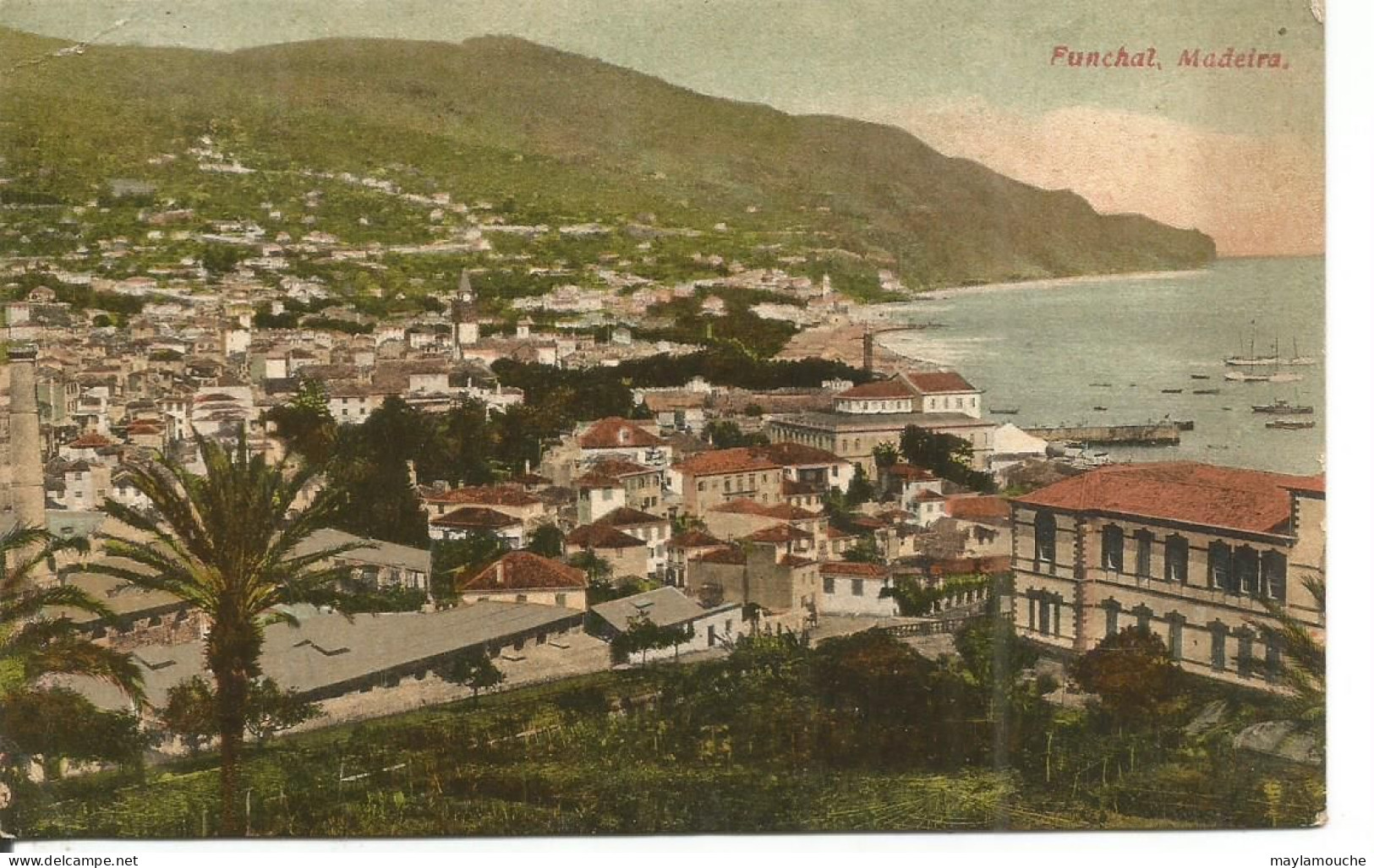 Funchal (bt - Madeira