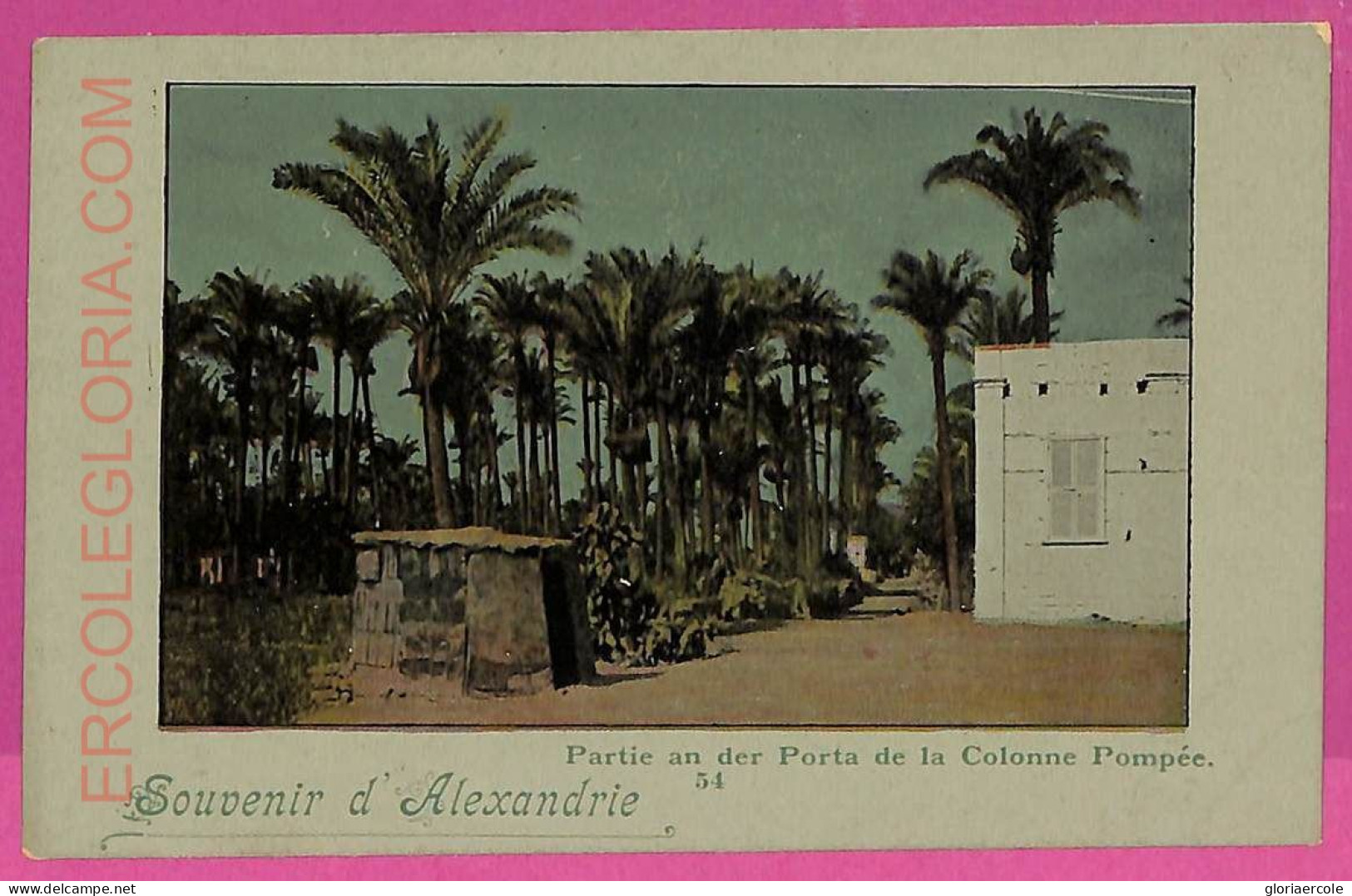 Ag2916 - EGYPT - VINTAGE POSTCARD - Alexandrie - Alexandrië