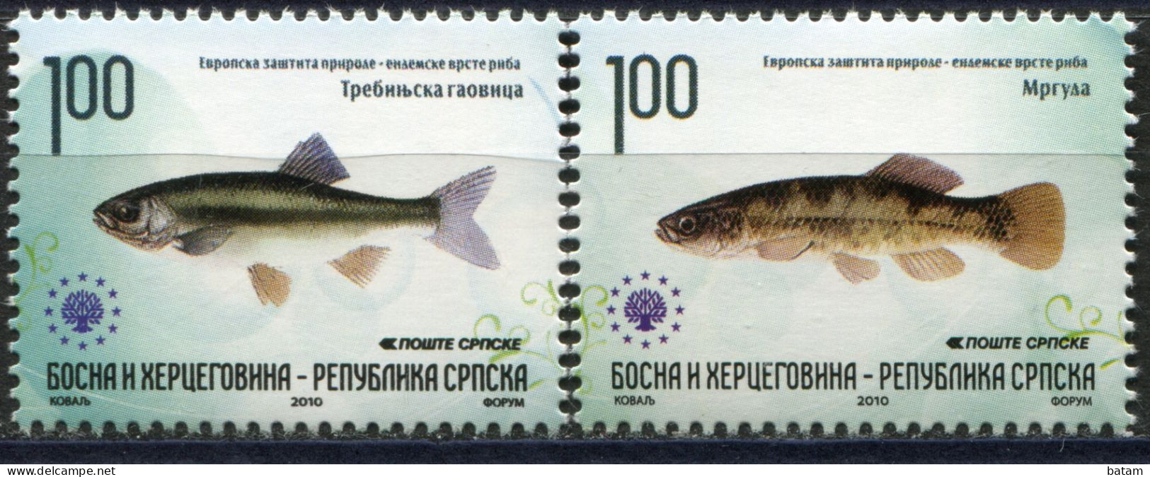 BOSNIA SERBIA(118) - Fish - European Nature Protection - MNH Set - 2010 - Bosnien-Herzegowina