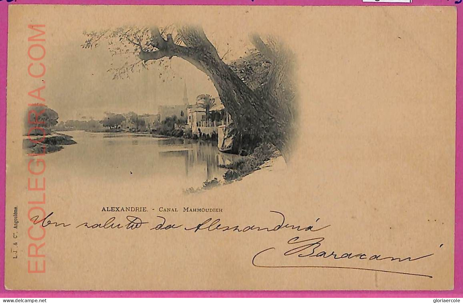 Ag2917 - EGYPT - VINTAGE POSTCARD - Alexandrie - Alexandria