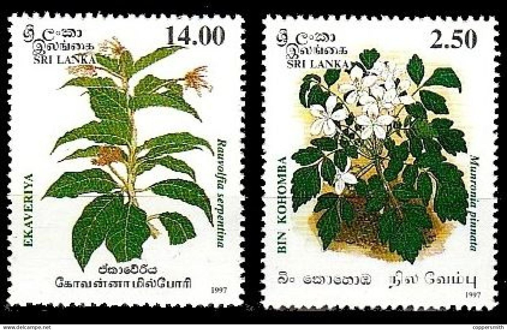 (0476) Sri Lanka  1997 / Flora / Medical Plants  ** / Mnh  Michel 1141-42 - Sri Lanka (Ceilán) (1948-...)