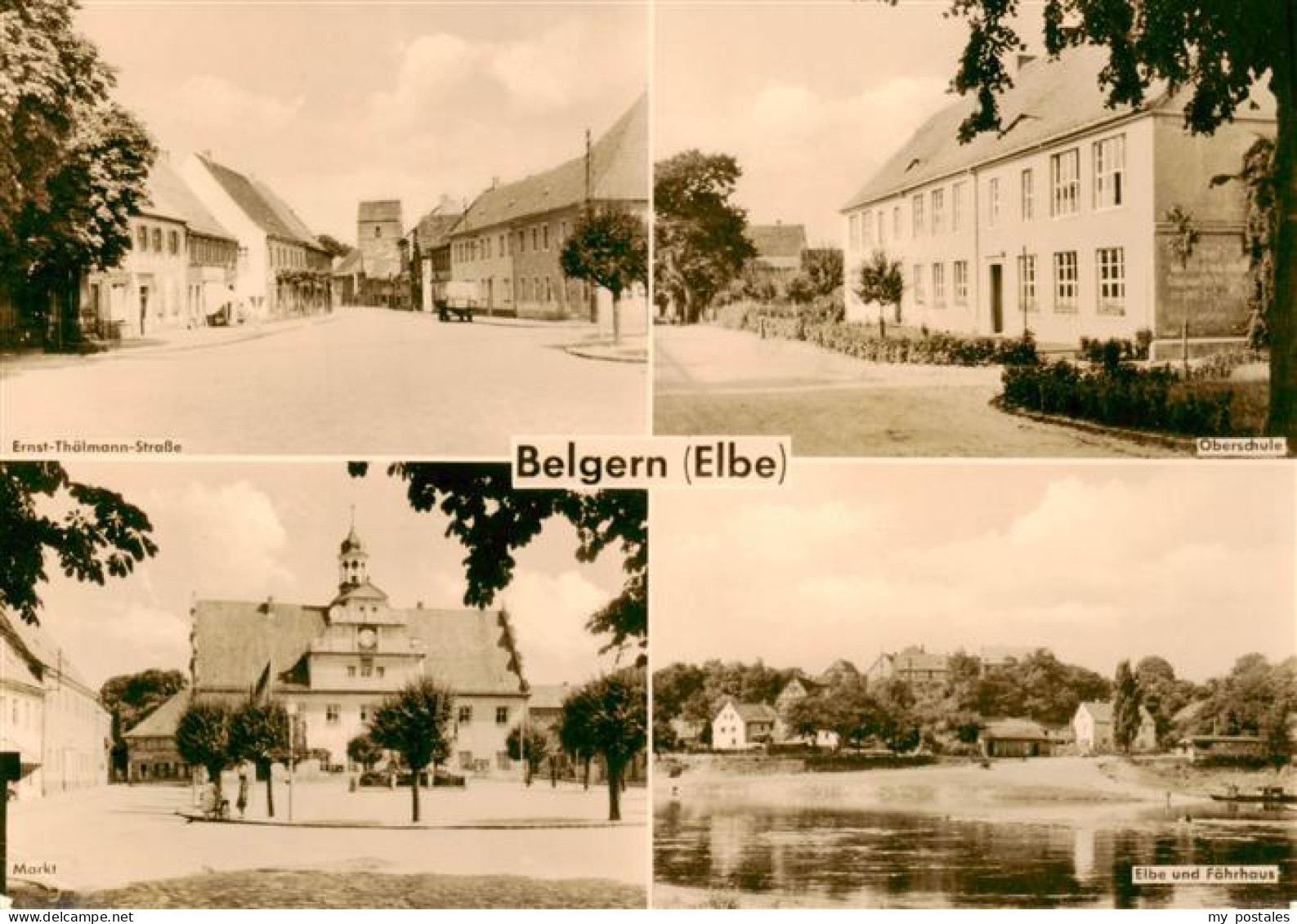 73888156 Belgern Elbe Ernst-Thaelmann-Strasse Oberschule Markt Elbe Und Faehrhau - Belgern