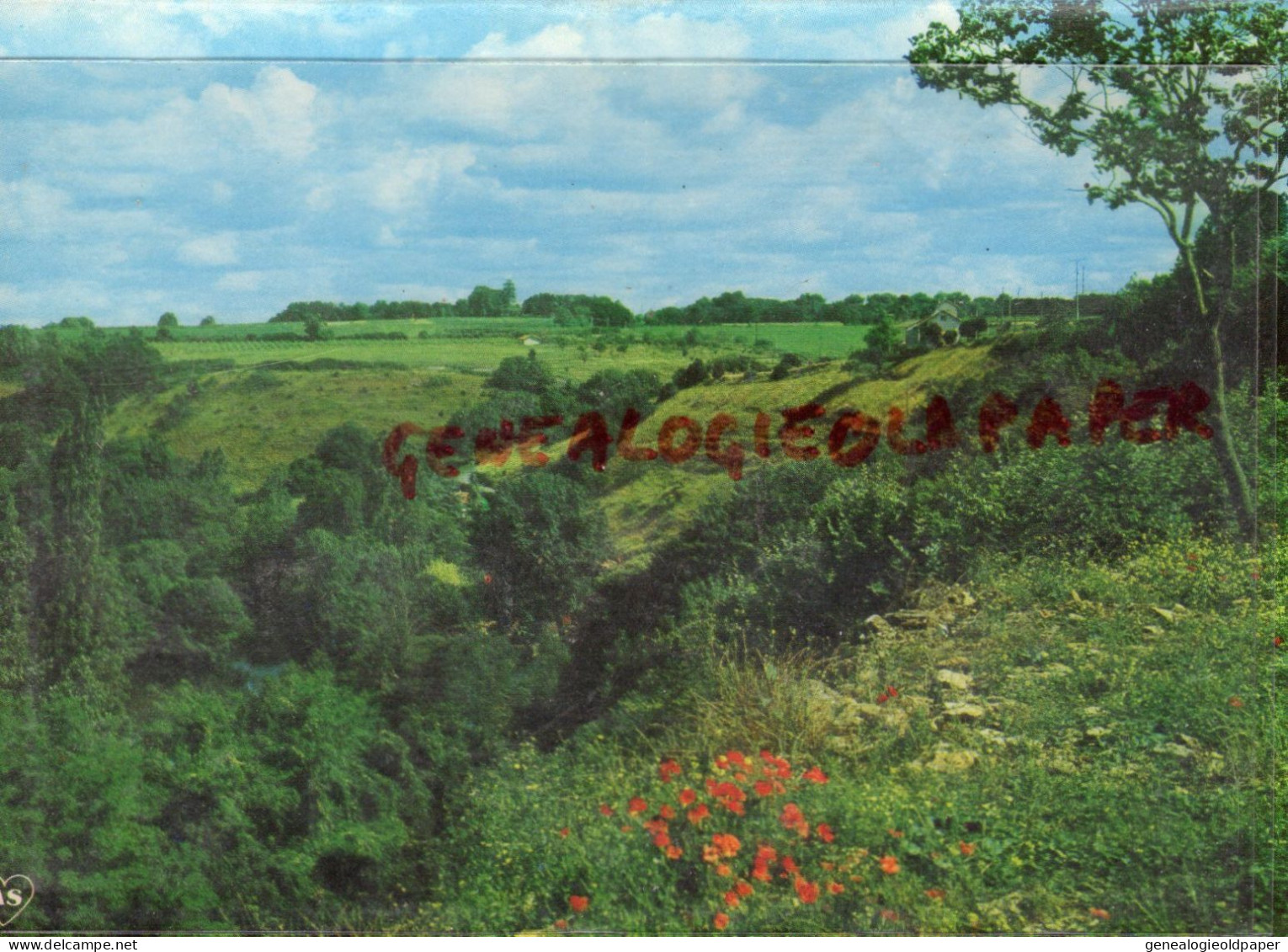 16- RUFFEC - LA VALLEE DE LA CHARENTE ENTRE RUFFEC ET VERTEUIL - Ruffec