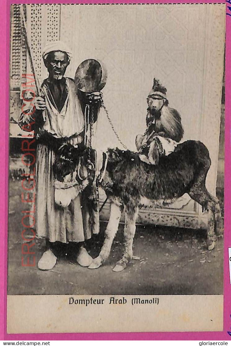 Ag2835 - EGYPT - VINTAGE POSTCARD - Ethnic - Altri & Non Classificati