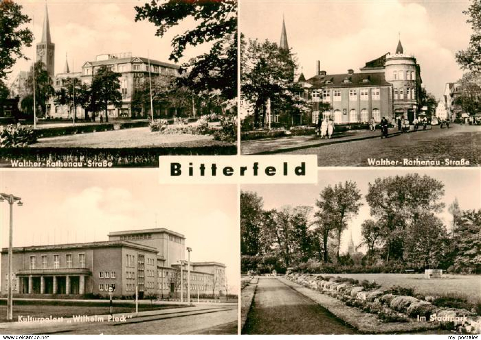 73887990 Bitterfeld Walther Rathenau Strase Kulturpalast Wilhelm Pieck Im Stadtp - Bitterfeld