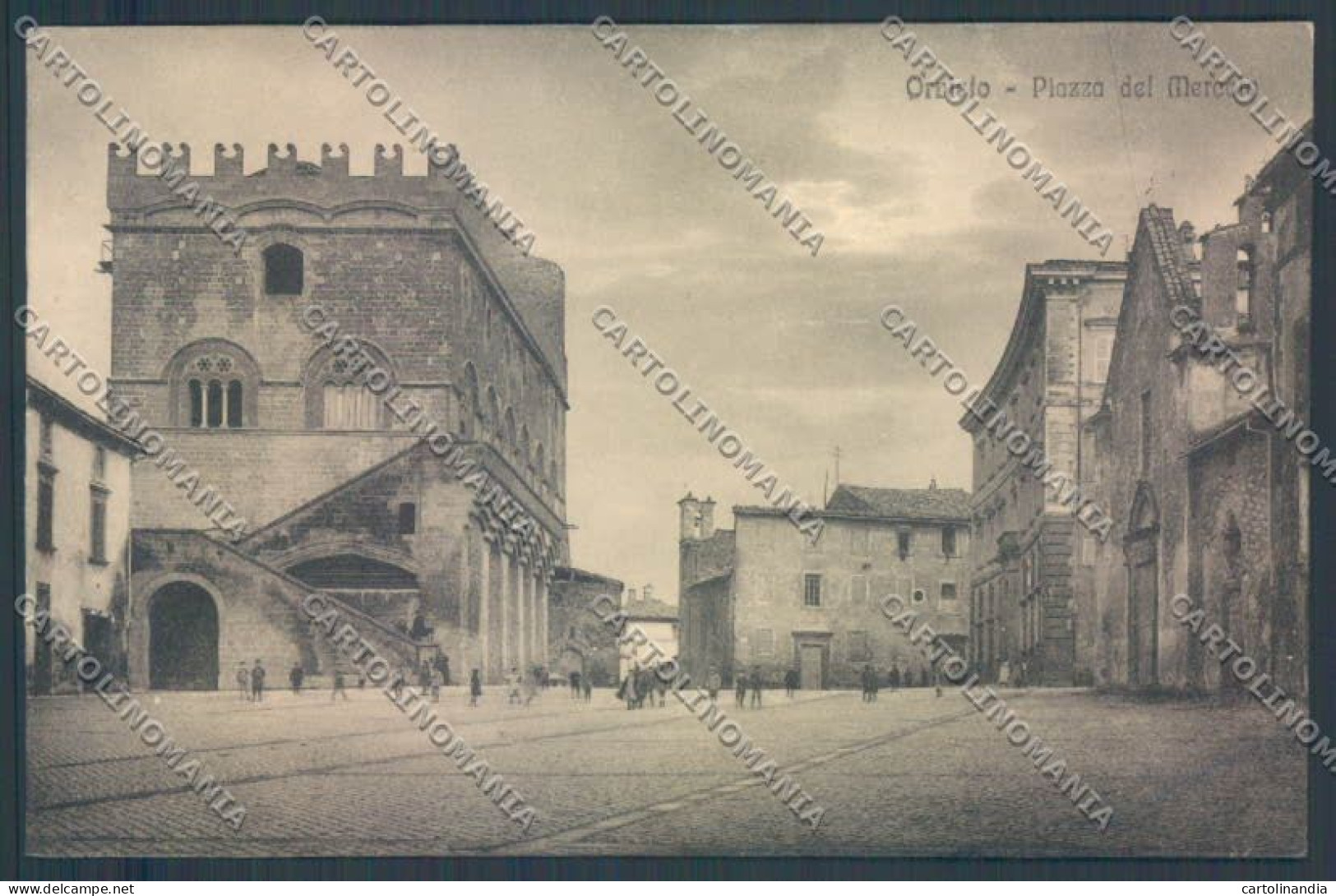 Terni Orvieto Cartolina ZB5771 - Terni