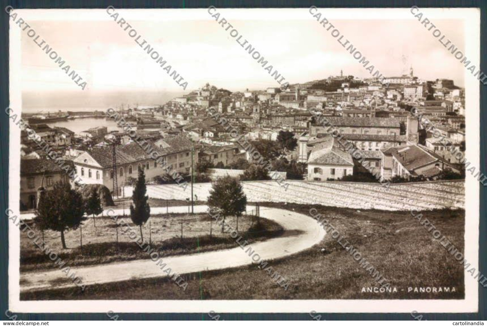 Ancona Città Foto Cartolina ZB5889 - Ancona