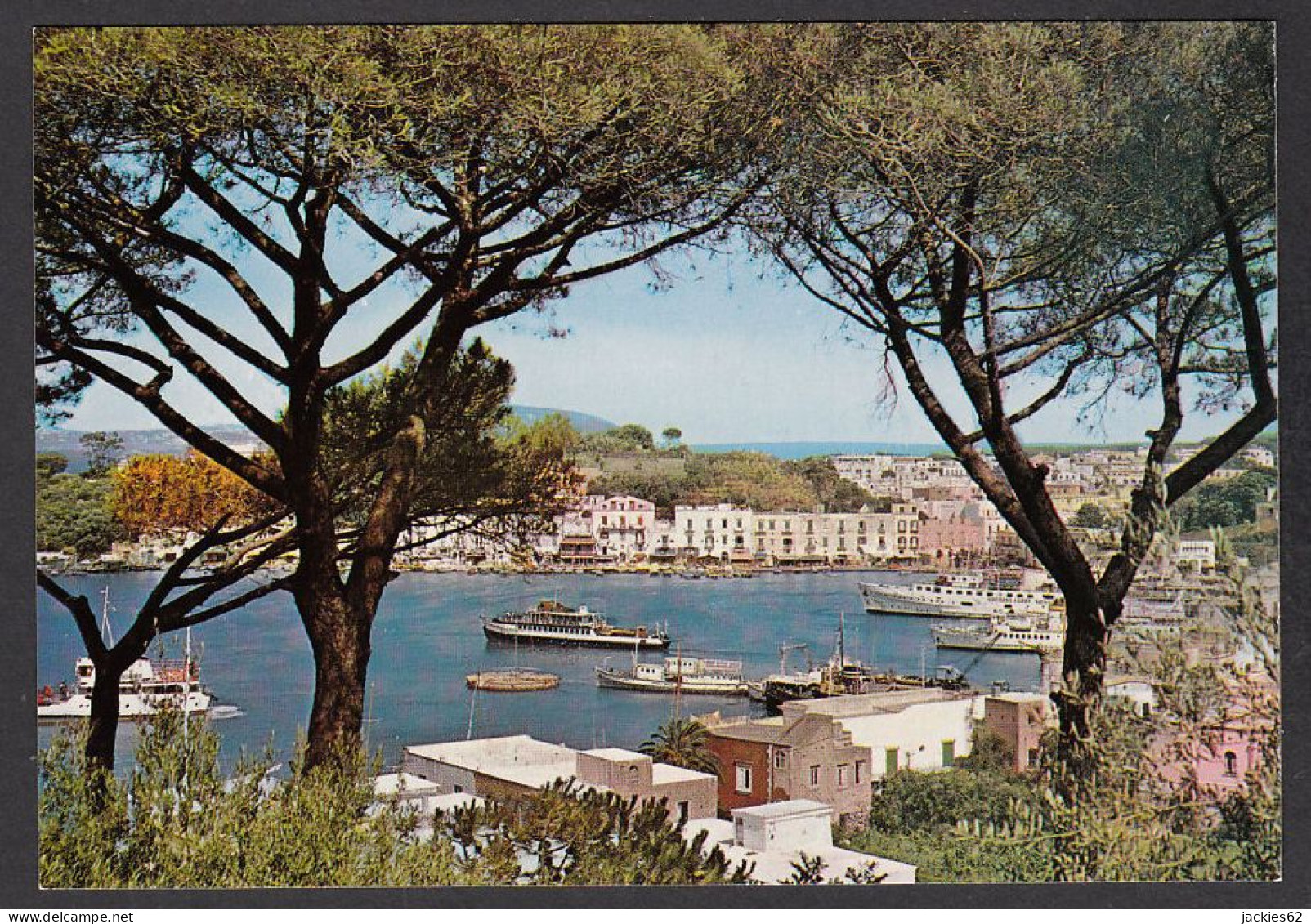 088975/ ISCHIA, Isola D'Ischia, Il Porto - Other & Unclassified