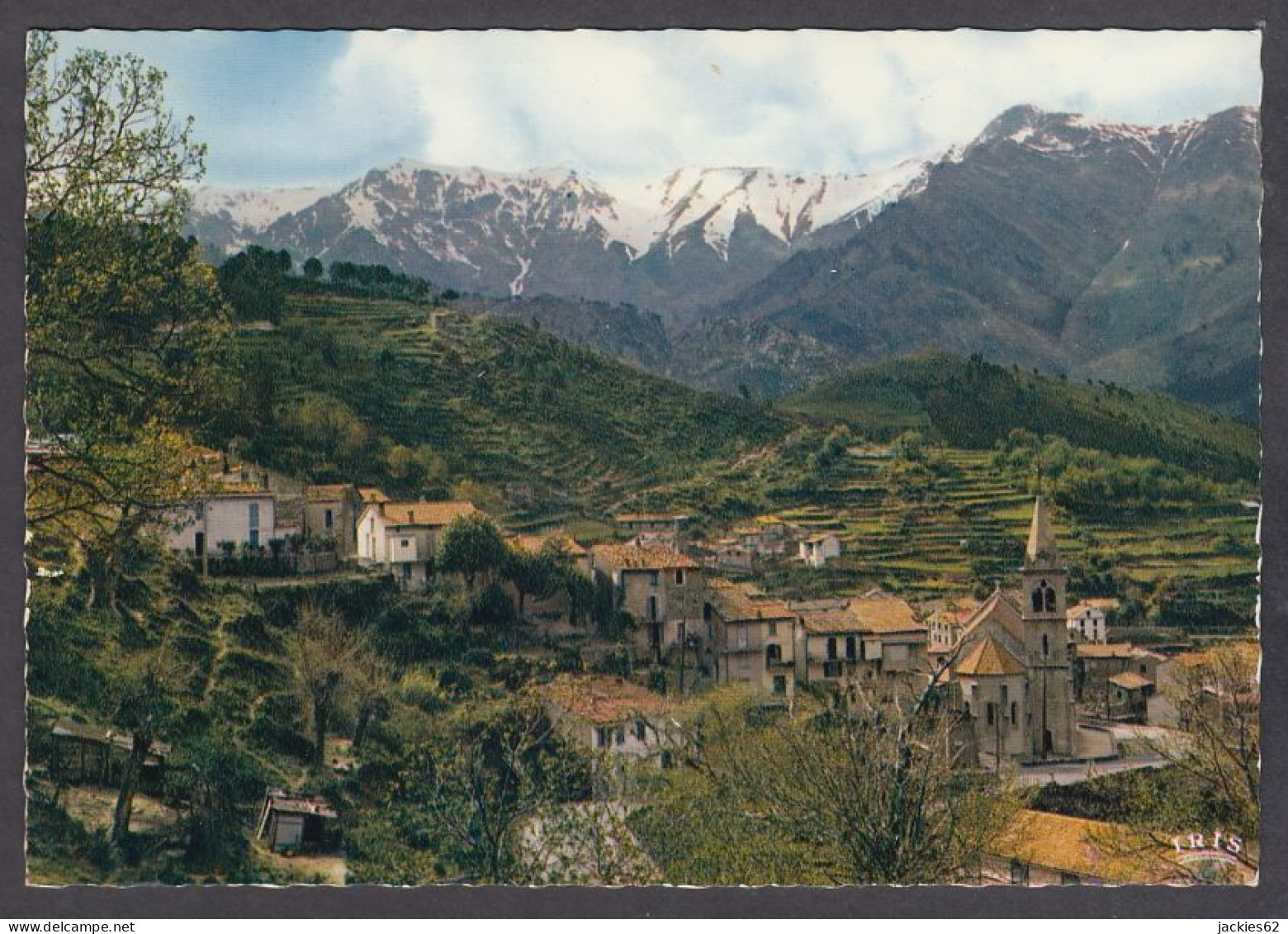 121969/ VIVARIO, Vue Générale Avec Le Mont Rotondo - Sonstige & Ohne Zuordnung