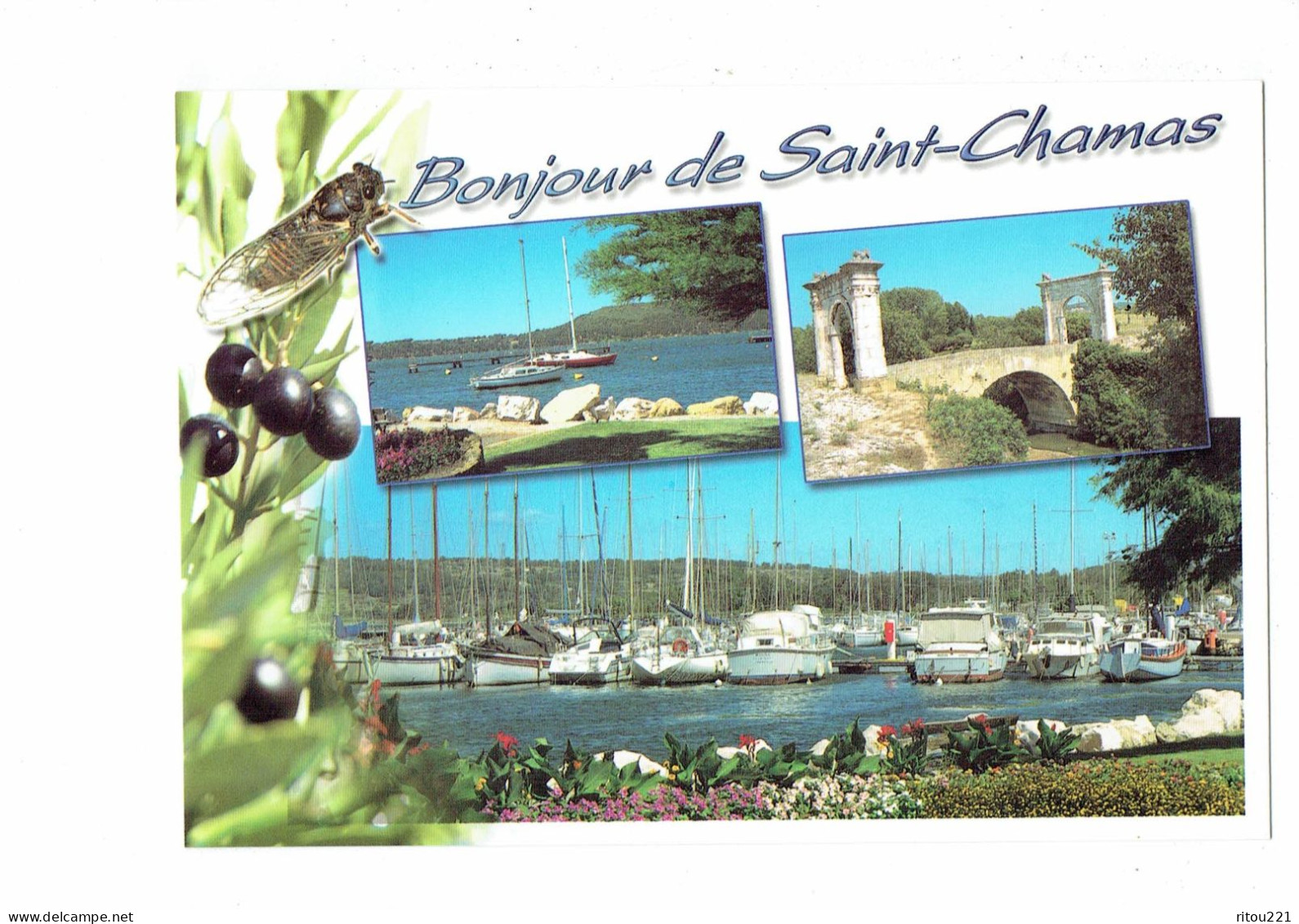 Cpm - 13 - SAINT-CHAMAS - Port De Plaisance Pont Flavien - OLIVE NOIRE CIGALE - Bateau - Autres & Non Classés