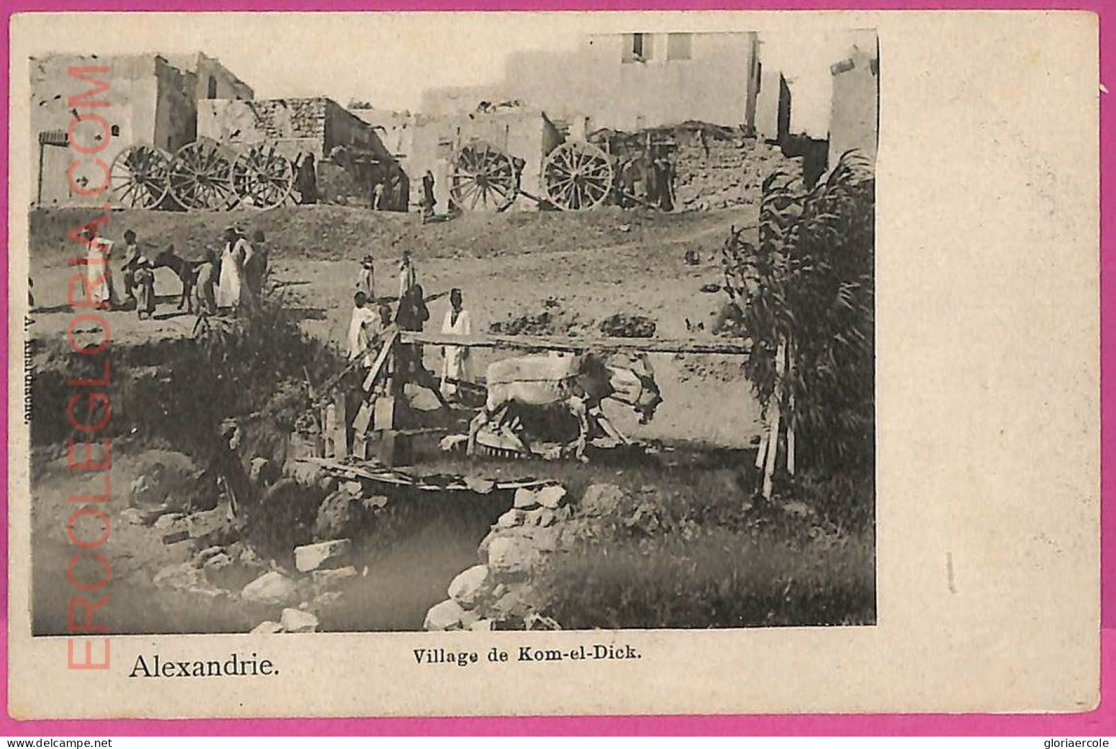 Ag2925 - EGYPT - VINTAGE POSTCARD - Alexandrie - Alejandría