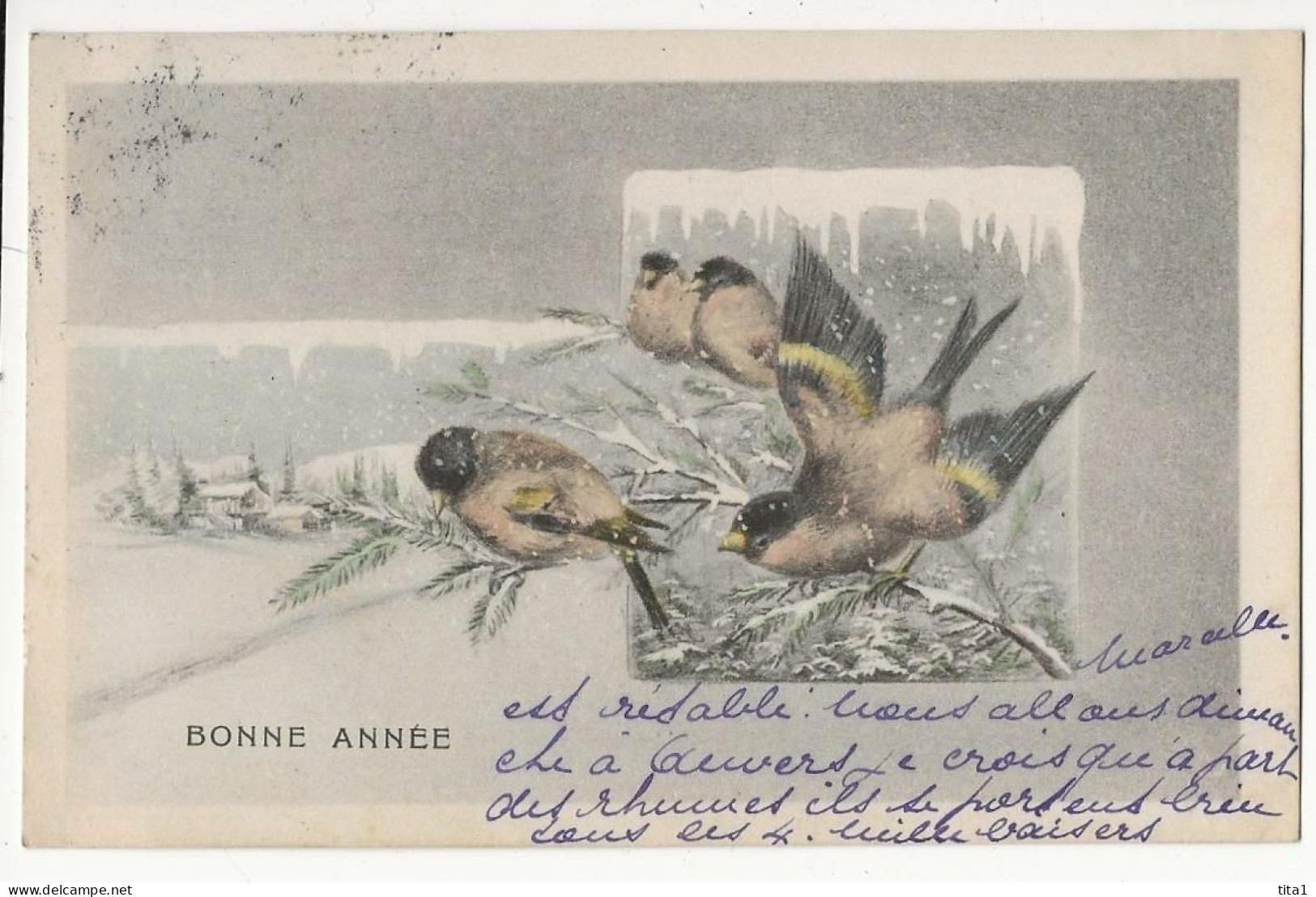 2796  - Bonne Année - Oiseaux - Neujahr