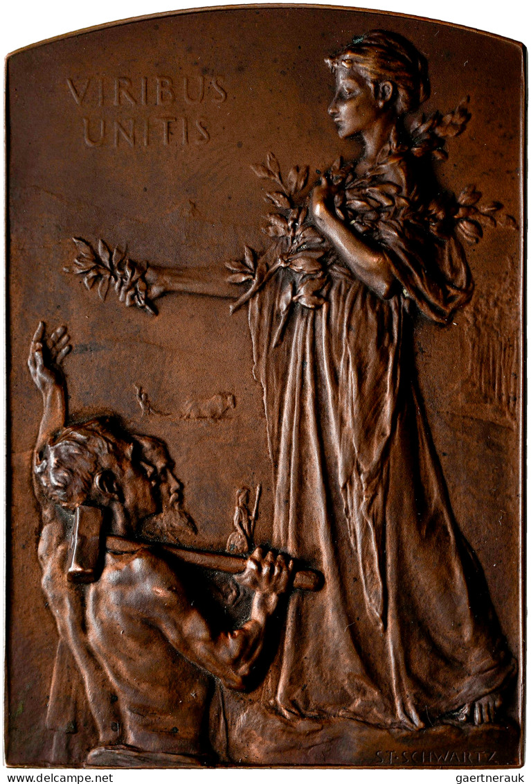 Medaillen Alle Welt: Österreich: Bronzeplakette 1900 Von Stefan Schwartz, Auf Di - Zonder Classificatie