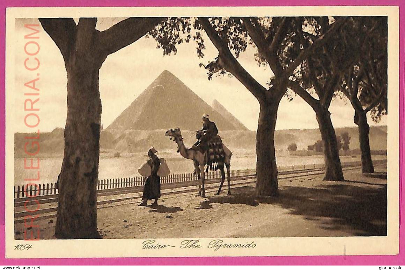 Ag2953 - EGYPT - VINTAGE POSTCARD - Cairo - Caïro