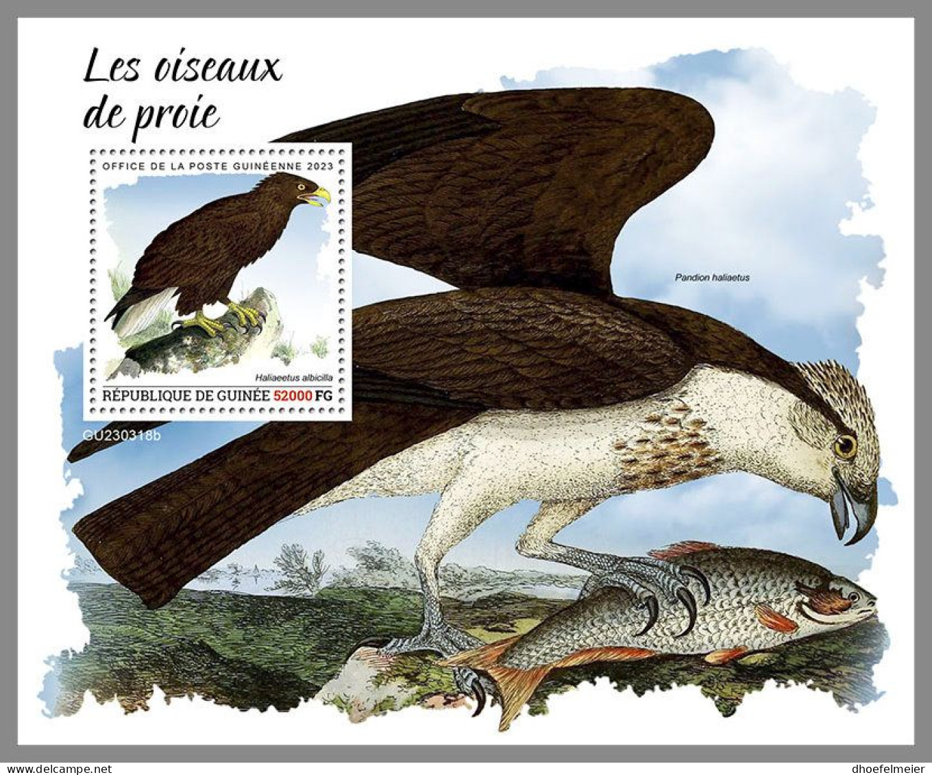 GUINEA REP. 2023 MNH Birds Of Prey Greifvögel Raubvögel S/S – OFFICIAL ISSUE – DHQ2417 - Adler & Greifvögel