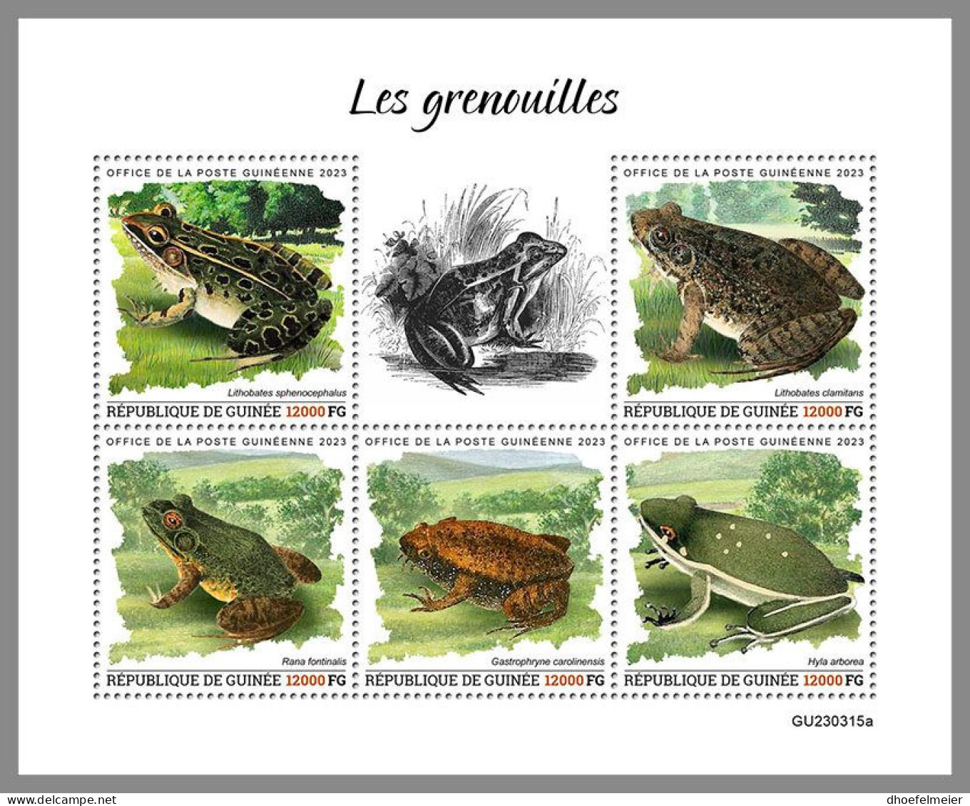 GUINEA REP. 2023 MNH Frogs Frösche M/S – OFFICIAL ISSUE – DHQ2417 - Grenouilles